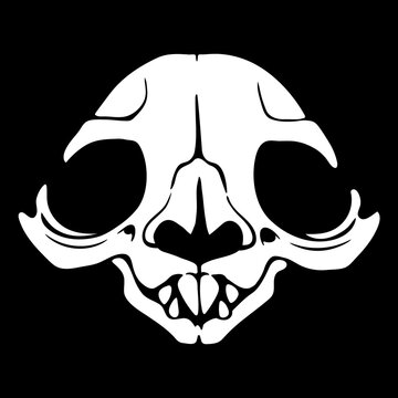 White Animal Skull On A Black Background