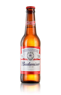 Bottle of Budweiser beer on white background 