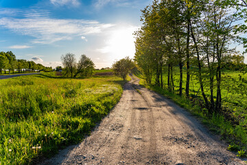 View of a country road outside the city. An image of a road at sunset among fields.