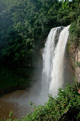 Fototapeta premium Waterfall in the forest