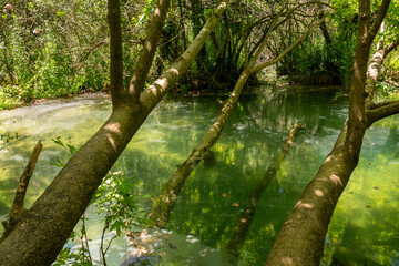 Fototapeta premium Kursunlu waterfall is one of the most attractive landscapes in terms of lush plants and small or big various picnic areas in Antalya.