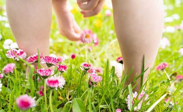 Small baby bare legs,feet of little girl in grass with flowers of daisies.Summer concept.Kids walk in garden,field,meadow.Quarantine end,coronavirus covid-19.Staycation in vacation home,country house