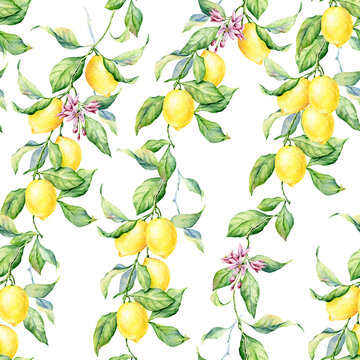 Lemon watercolor seamless pattern. Beautiful hand drawn texture.