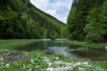 Wasserreservoir an einem Bach in den slowakischen Bergen