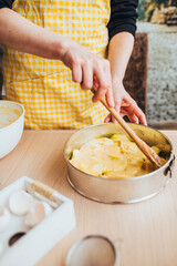 Homemade cakes - apple pie in the oven - an old recipe for rustic cooking