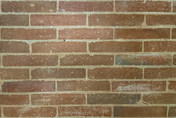 old brick wall of various color
