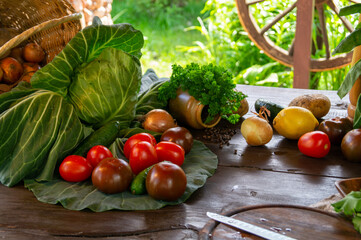 cooking food. seasonal vegetables on the table for a vegetarian recipe