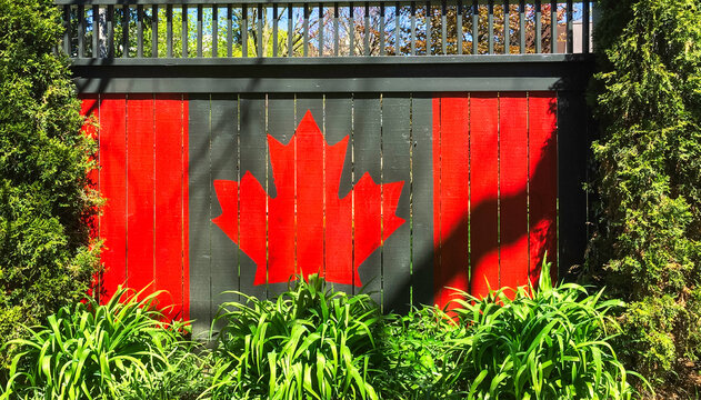 Canadian red maple leaf flag painting on the dark grey wooden fence