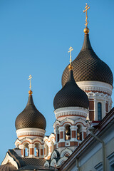Fototapeta na wymiar Domes of a Christian Church against the blue sky