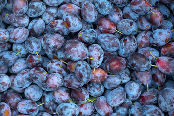 Plums at a local market