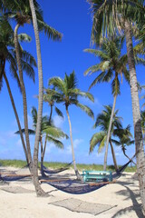 hammock at a caribbean beach
