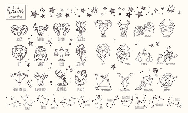 Zodiac signs. Vector Hand Drawn. Collection zodiacal animals illustration. Constellations. Aries, Taurus, Leo, Gemini, Virgo, Scorpio, Libra, Aquarius, Sagittarius, Pisces, Capricorn, Cancer.