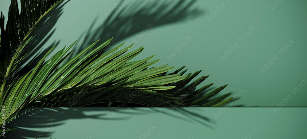 Poster minimal cosmetic background for product presentation. green podium and palm with shadow of leaf. 3d 