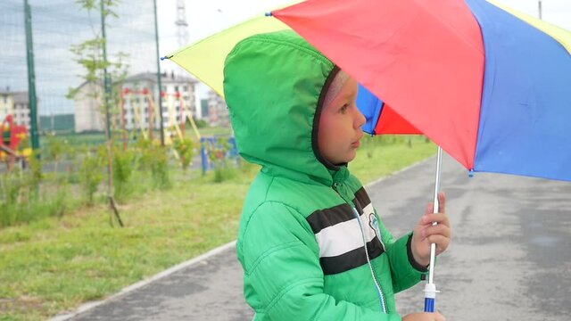 A cute little boy stands with a small colored umbrella