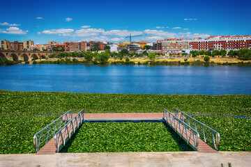 Fototapeta premium Guadiana river landscape with old bridge and jetty. Trips to Extremadura. The Guadiana river covered with a blanket of water lilies, an aquatic plant with yellow flowers.
