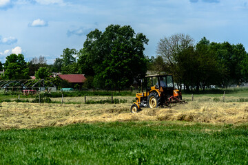 Fieldworks in Wegrow - small town on east of Poland