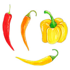 Set of vegetables with hot red and yellow chili peppers and yellow bell peppers. Suitable for menu design in cafes, for web design