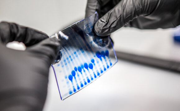 DNA samples for bioscience research