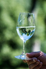 hand holding a glass