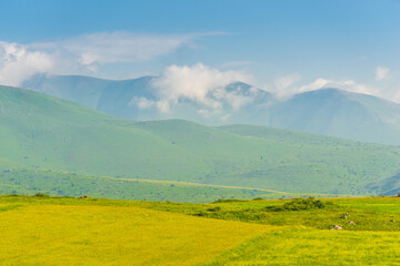 Succulent grassland meadows on a summer June day, Armenian mountains