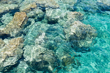 Turquoise sea water and rocks