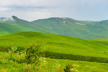 Fototapeta premium green field and hill covered with grass on a sunny day landscape