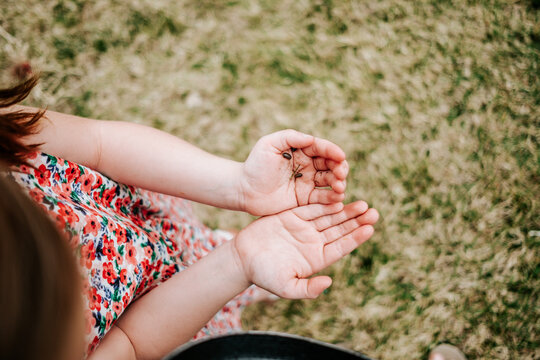 cropped image of young girl holding bugs in her hands