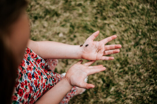 close up of young girl holding bugs on her hands