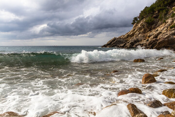 nature around the elba island