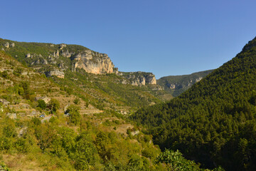 Fototapeta na wymiar Paysage des Grandes Causses dans les Raspes du Tarn depuis Le Truel (12430), Aveyron en Occitanie, France