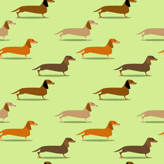 Seamless pattern with badger dogs of different colors on light green background. Illustration of funny dachshunds