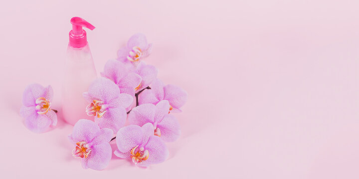 Plastic Dispenser Bottle With Liquide Cosmetic Soap, Intimate Wash Or Shower Gel, Purple Sponge And Pink Orchid Flowers On Pink Background. Spa And Women's Hygiene Concept