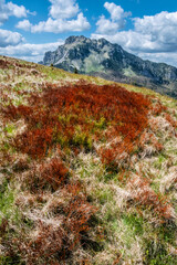 Big Rozsutec, Little Fatra, Slovakia, springtime scene