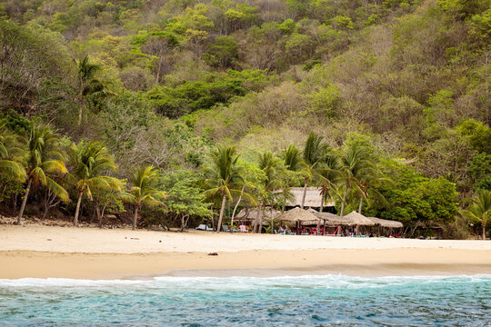 Beachside palapas under palm trees on pristine tropical beach, Playa la Boquilla, Oaxaca, Mexico