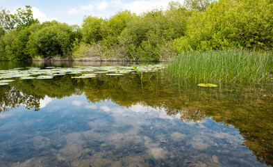 Fototapeta na wymiar Still water fishing pond image