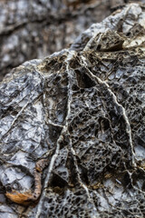 nature around the elba island