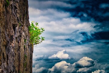 Wolken, Himmel, Burg, Pflanzen, Aussicht, Landschaft