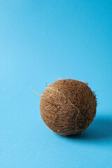 Ripe coconut on a blue background