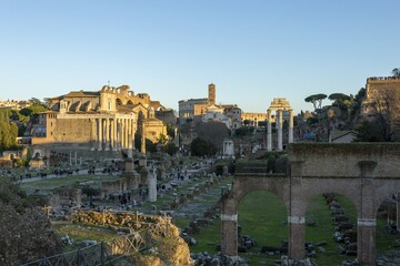 Obraz premium Ruins of Roman forum, Rome, Italy