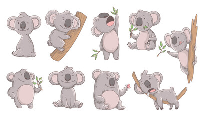 Collection cute koala in different poses. Hand drawn doodle of lazy animals. Cute cartoon bear characters