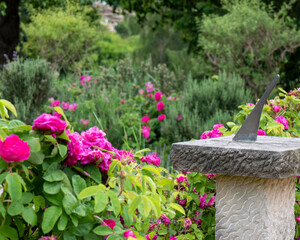 beautiful garden with sundial ornament 