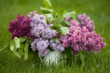 Beautiful spring flowers. purple lilac in white vase on grass green background
