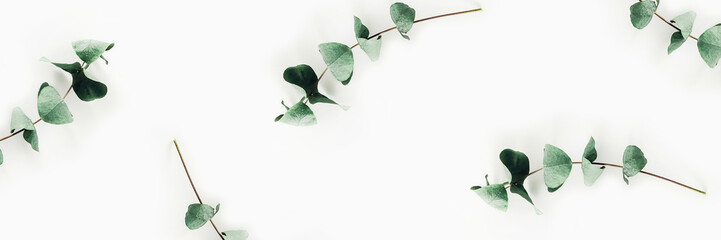 Photo on aromatherapy and mental health. Web banner with chaotically located twigs of eucalyptus.