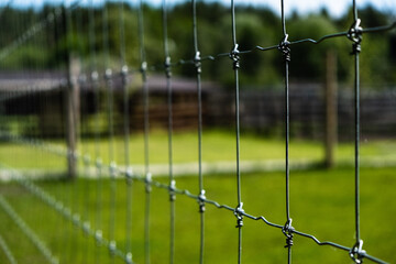 metal mesh on a green background