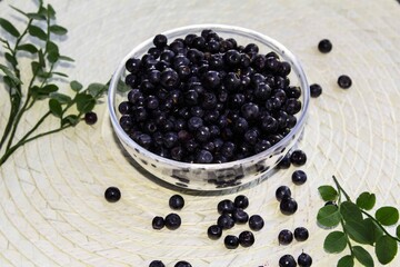 forest Northern berry blueberry lies in a transparent plate on a light wicker background