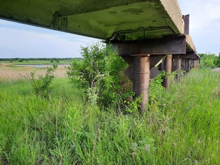 Old ruined building overgrown with trees and grass