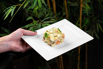 tasty salad in a plate