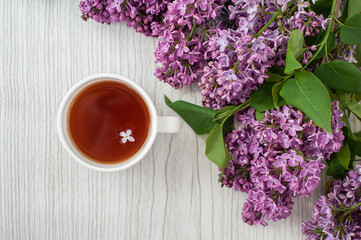 Lilac and a cup of tea on a gray wooden background. There's a lilac flower in the cup.
