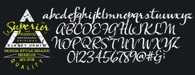 Vintage brush script lettering font. Handwritten calligraphic alphabet for t-shirt or apparel. Textured unique brush in alphabet style.Old school vector graphic for fashion and printing.
