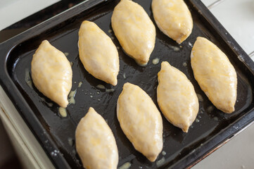 Pies stuffed on a baking snout